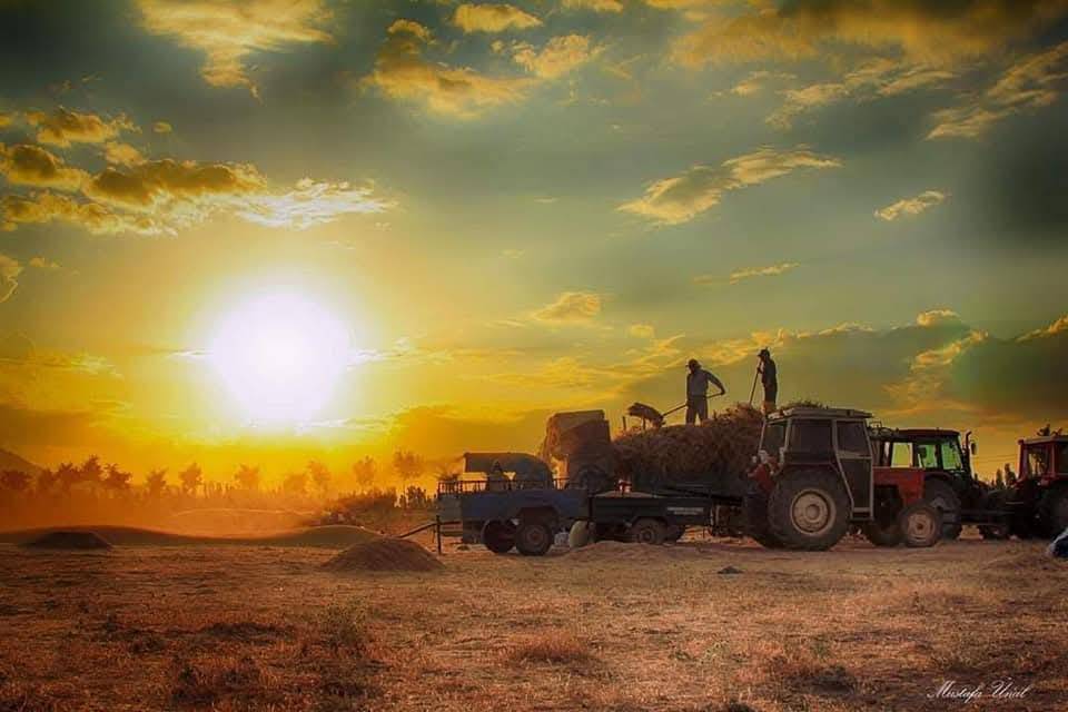 Konya’da kuraklığın içine çizilmiş harman portresi 10